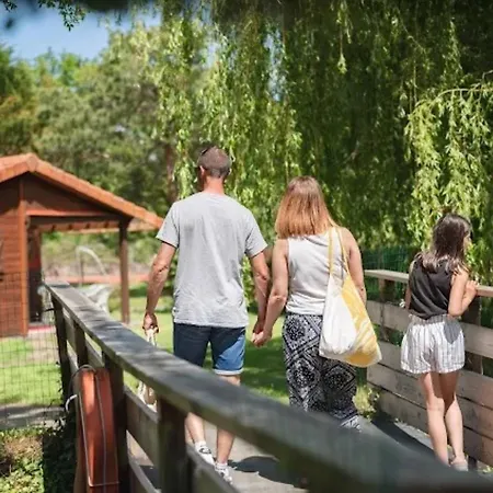 Bois 6 Domaine Les Epinettes Saint-Gervais (Vendee)