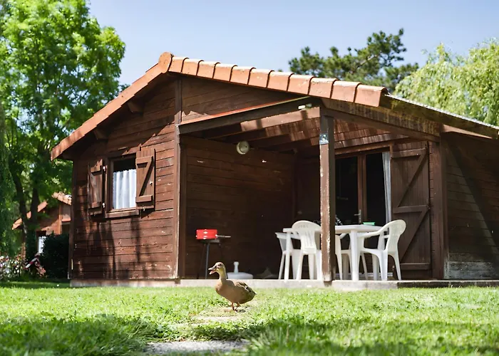 Bois 6 Domaine Les Epinettes Kamp alanı *