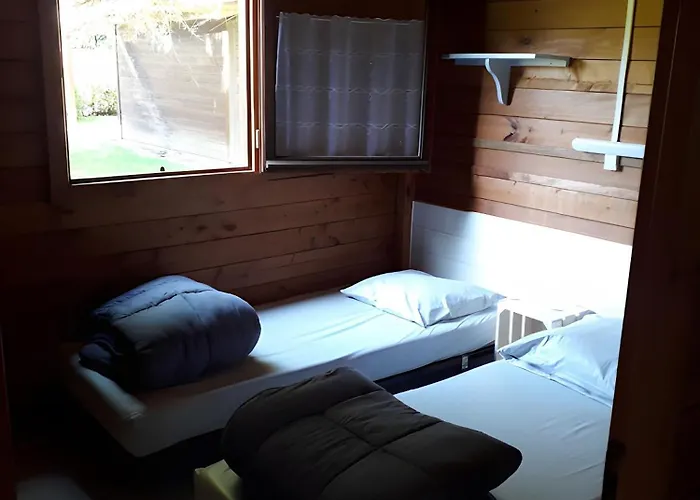 Bois 6 Domaine Les Epinettes Saint-Gervais (Vendee)