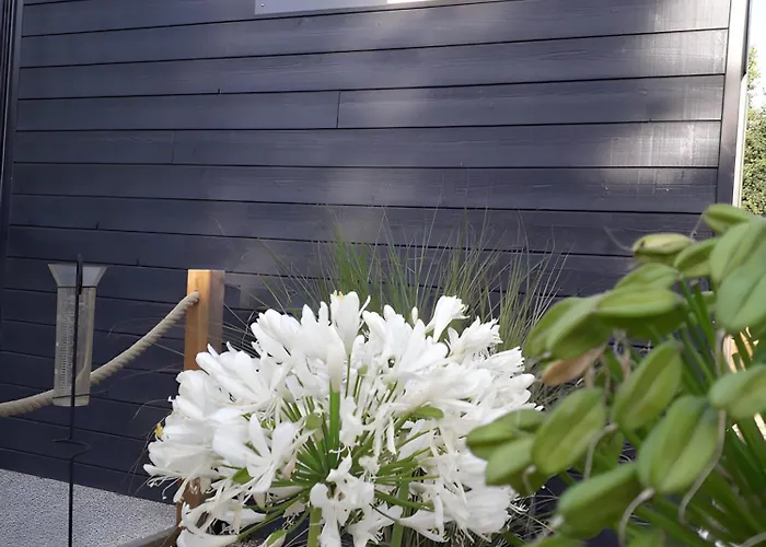 Bois 6 Domaine Les Epinettes