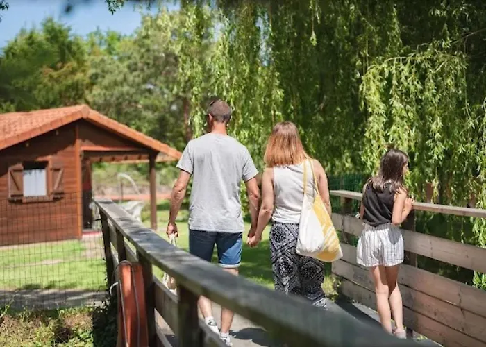 Bois 6 Domaine Les Epinettes Saint-Gervais (Vendee)